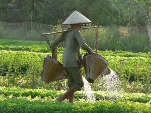 Tagesausflug zum Tra-Que-Dorf und Bootfahrt auf dem Thu-Bon-Fluss