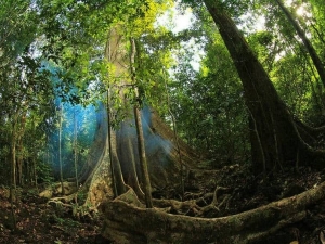 Cat Tien Nationalpark - 2 Tage