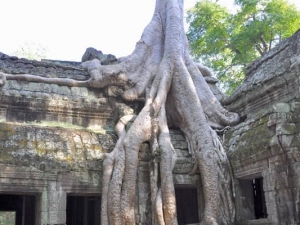 Kambodscha Reise 13 Tage