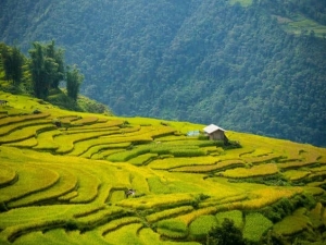 Unberührte Ecken im Nordwesten Vietnams - 3 Tage