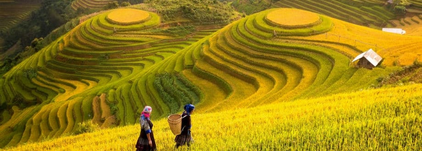 Mu Cang Chai